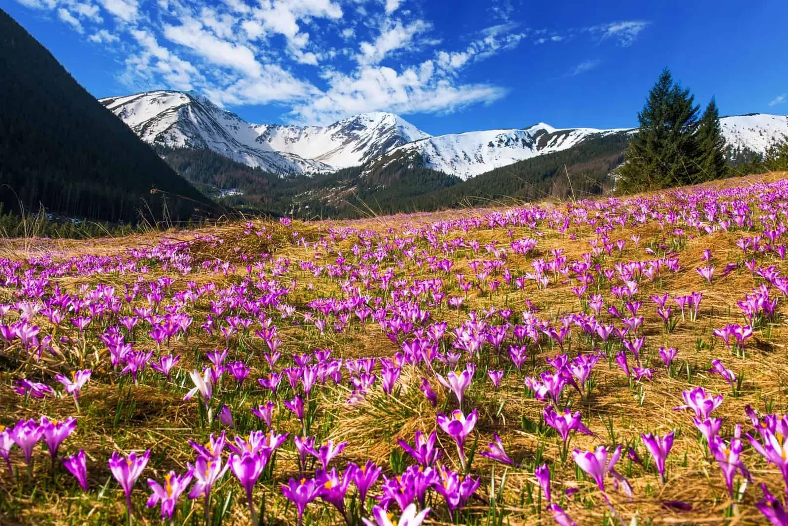 Wycieczki rowerowe Tatry