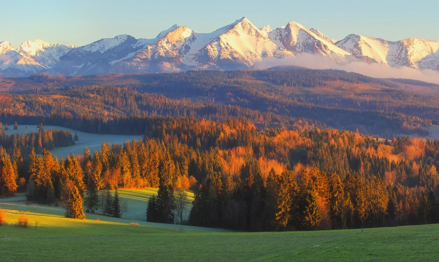 Widok na Tatry o wschodzie słońca jesienią: ośnieżone szczyty nad złotym lasem i zielonymi łąkami Podhala