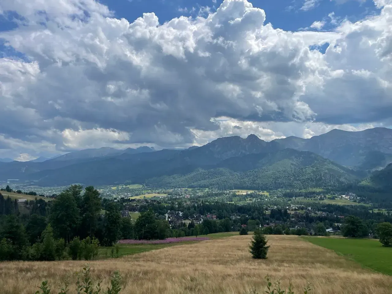 Zakopane z dziećmi – co robić latem?