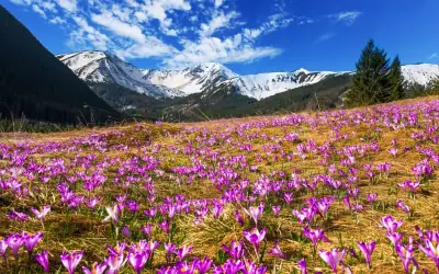 Wycieczki rowerowe Tatry
