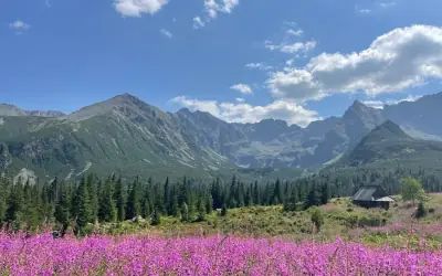 Zakopane z dziećmi – co robić latem?