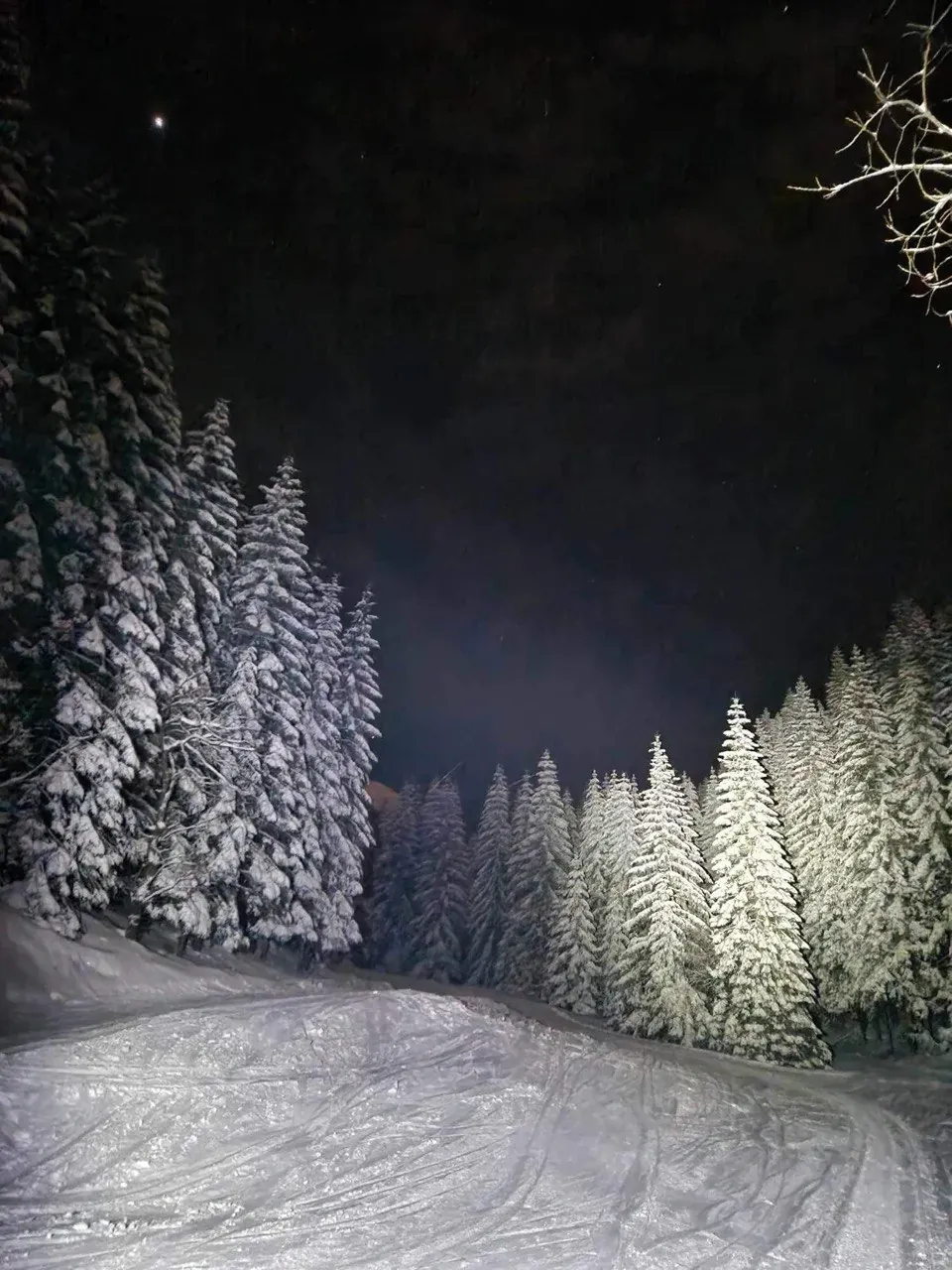 Zaśnieżony szlak nocą