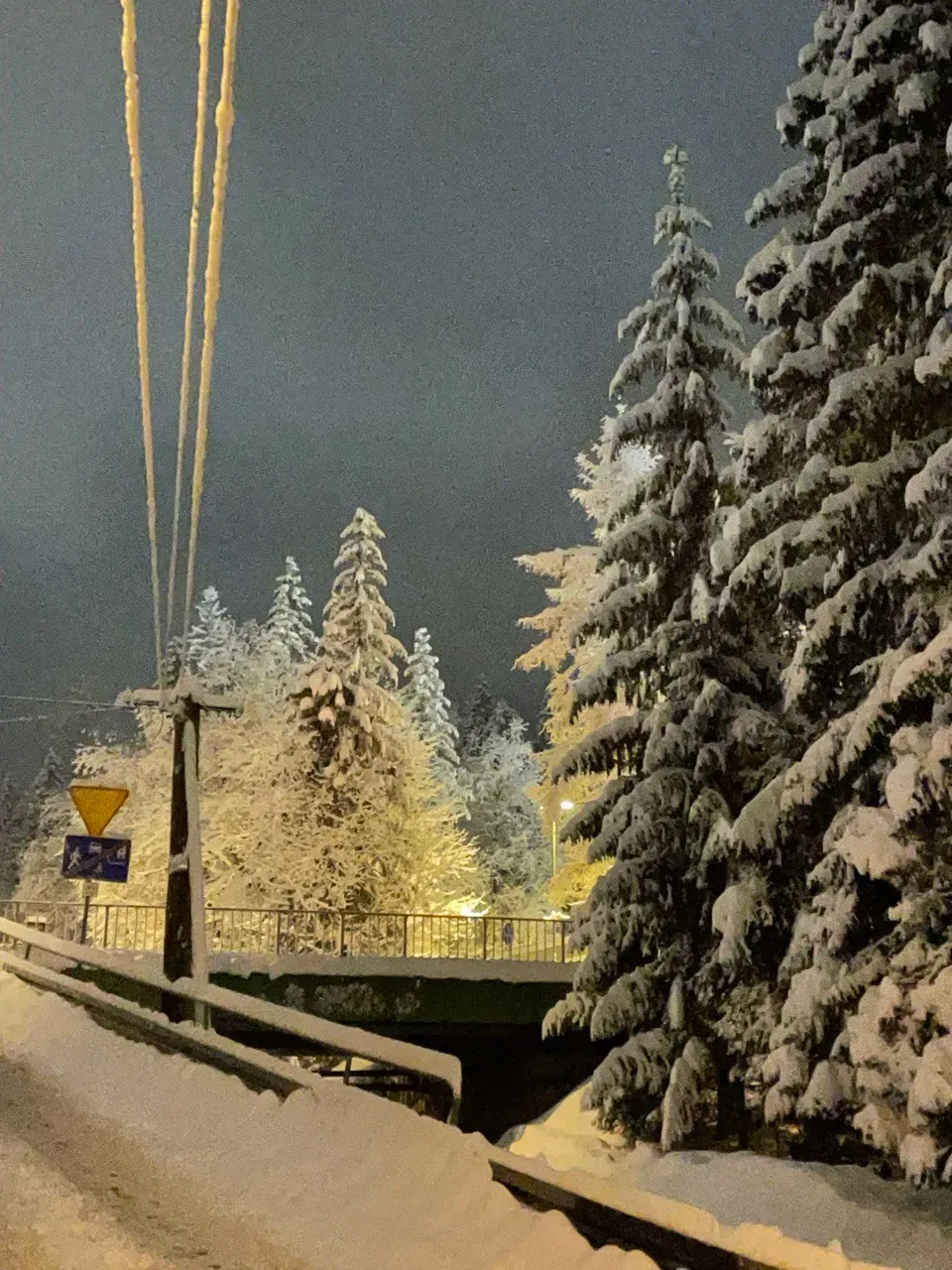 Zaśnieżona ulica nocą